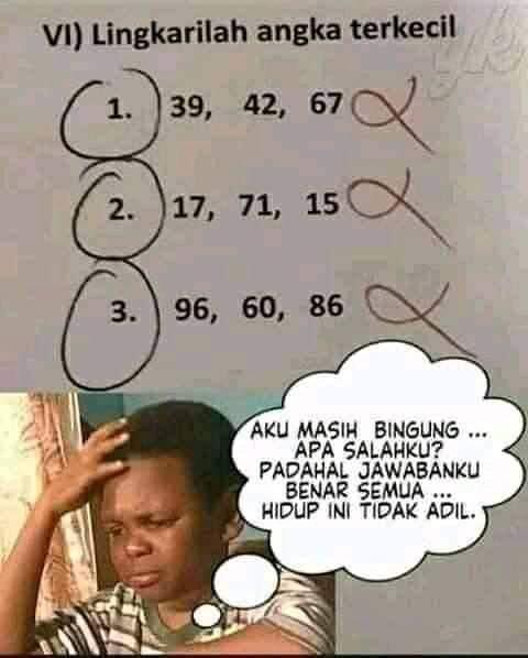 LUCUNYA HIDUP DI NEGERI KUVUKILAND
