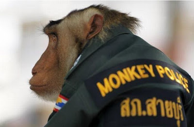 monkey_police_05.jpg