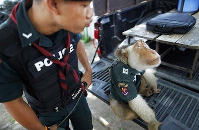 monkey_police_02.jpg