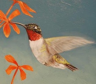 Hummingbird+Berleher+Rubi.jpg