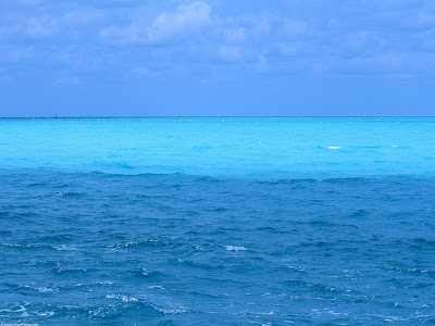 Blue+Ocean+-+big.jpg