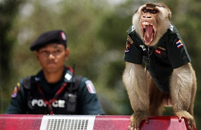 monkey_police_04.jpg