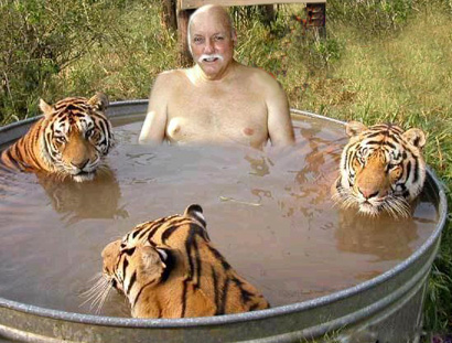 tiger+tub.jpg