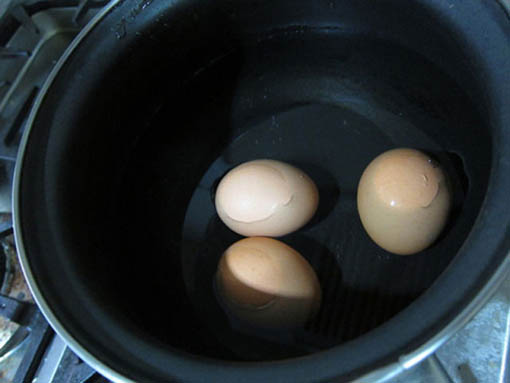 1-telur.jpg