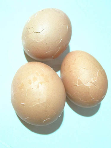 4-telur.jpg