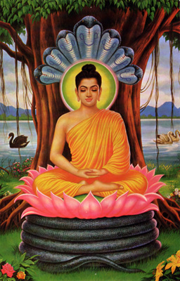 buddha-naga.jpg