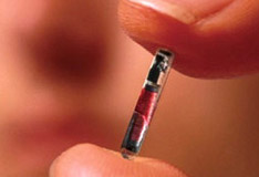 chip-implant.jpg
