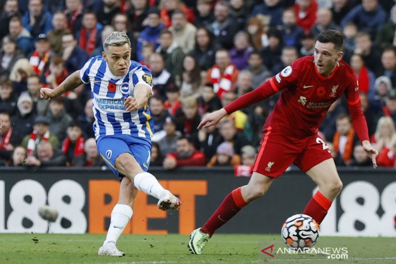 Liverpool buang keunggulan dua gol saat ditahan imbang Brighton 2-2
