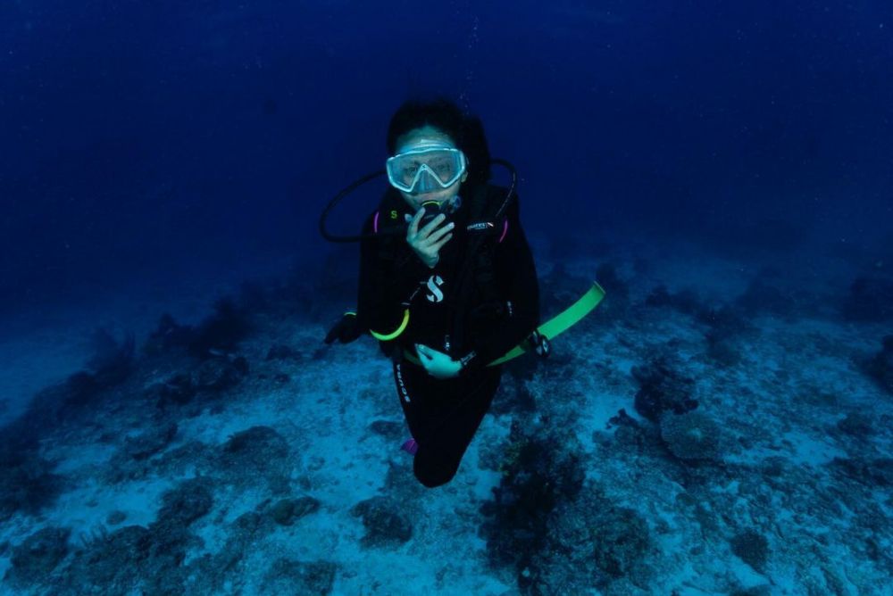 Momen 7 seleb diving di Labuan Bajo, Awkarin berjumpa Penyu raksasa