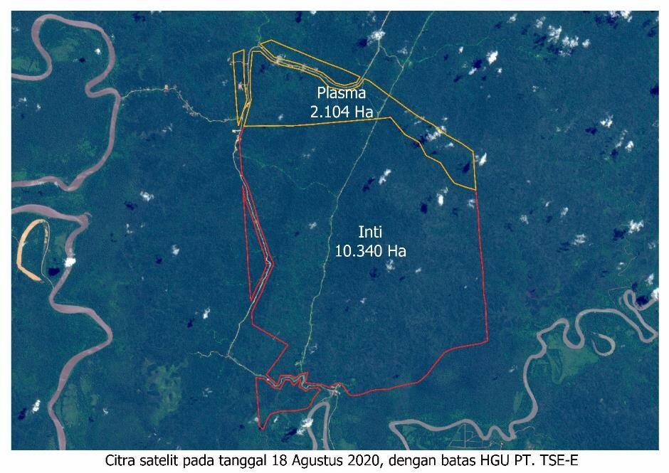 [BREAKING NEWS] 57 Ribu Hektar Hutan Papua Dibakar untuk Sawit