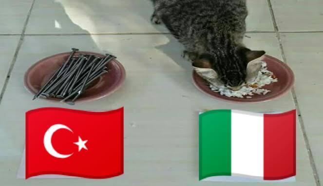 Ramalan Akurat | Turki vs Italia ini dia pemenangnya menurut kucing peramal