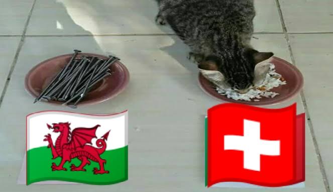 Ramalan Akurat | Wales vs Swiss ini dia pemenangnya menurut kucing peramal