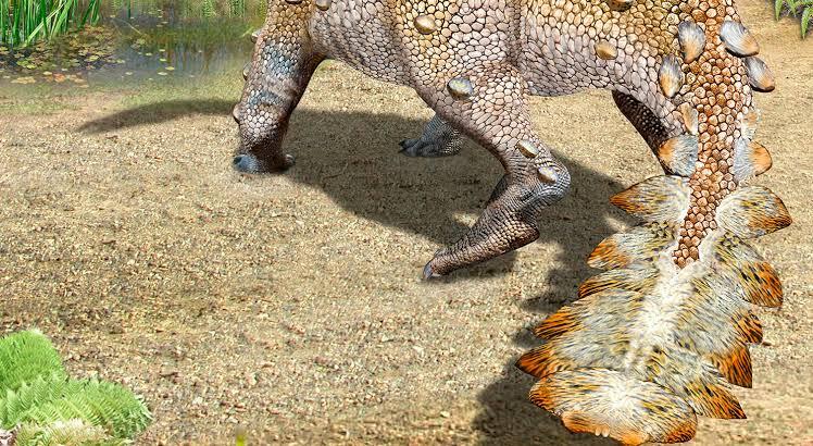 Penemuan Fosil Dinosaurus Spesies Baru "Stegouros Elengassen" di