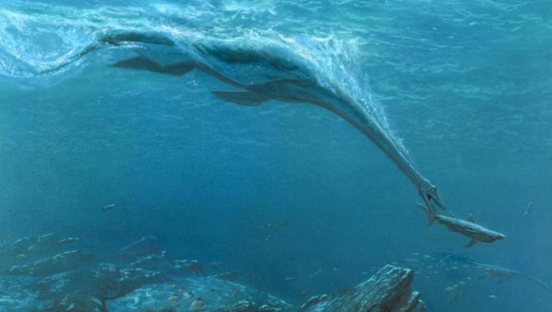 6 Makhluk Menyeramkan Bertubuh Gigantisme yg Pernah Hidup di Hamparan Lautan