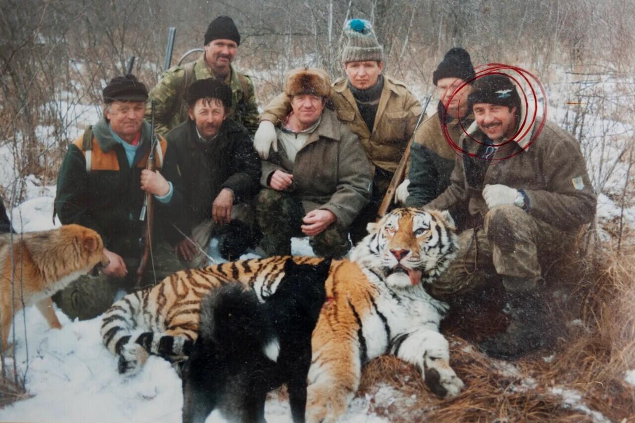 Harimau Siberia yg Melacak Penembaknya hingga ke Pondok