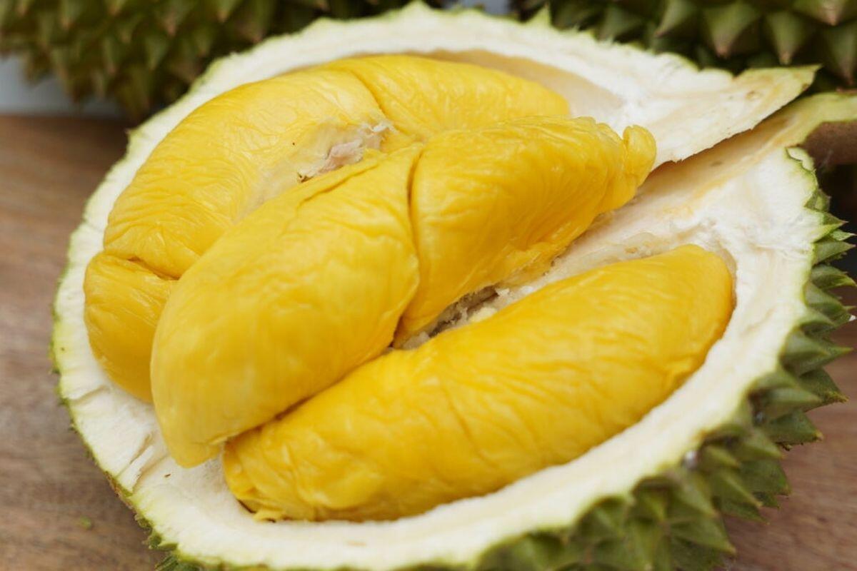 Mau Ngumpulin Orang2 Yg Gak Suka Durian