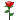 emoticon-rose