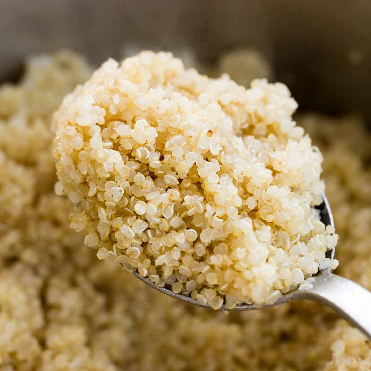 quinoa-8-1200.jpg